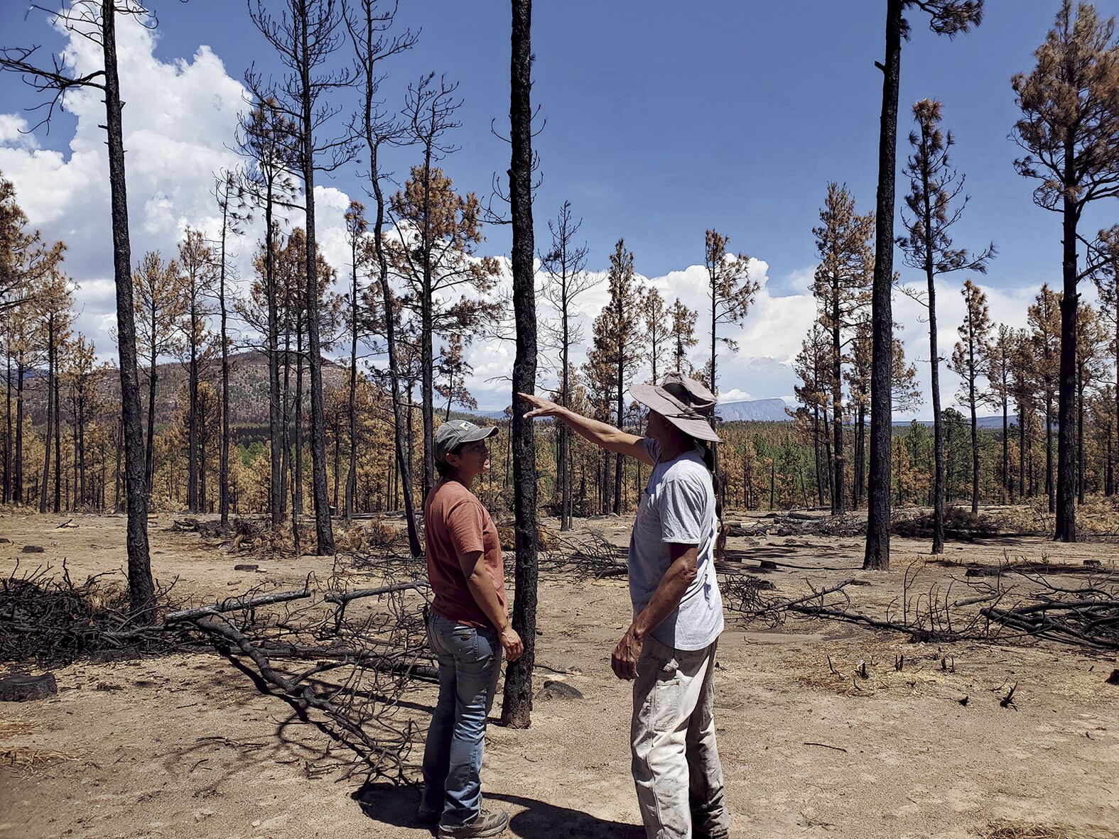Fire Restoration